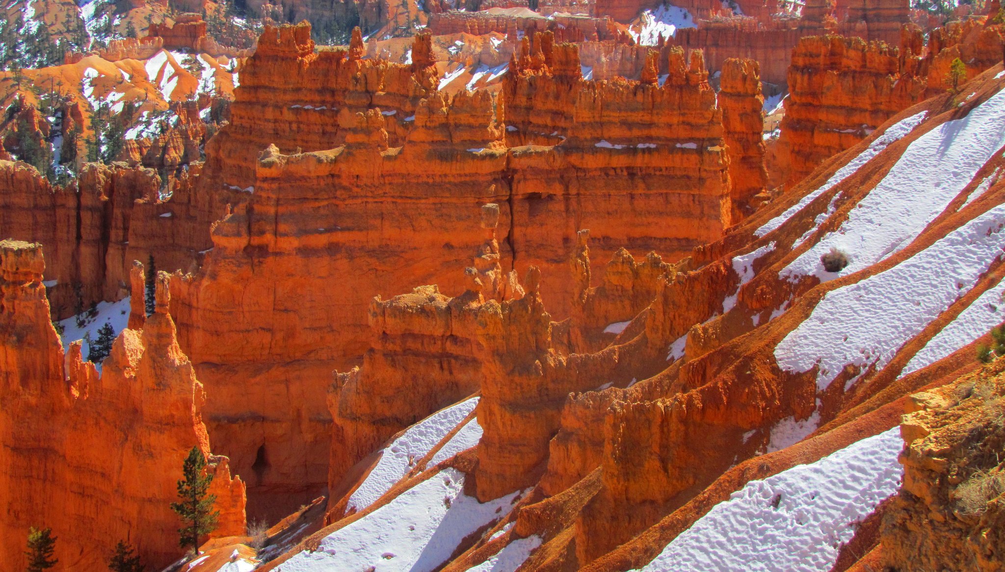 bryce canyon national park utah usa skały góry drzewo śnieg