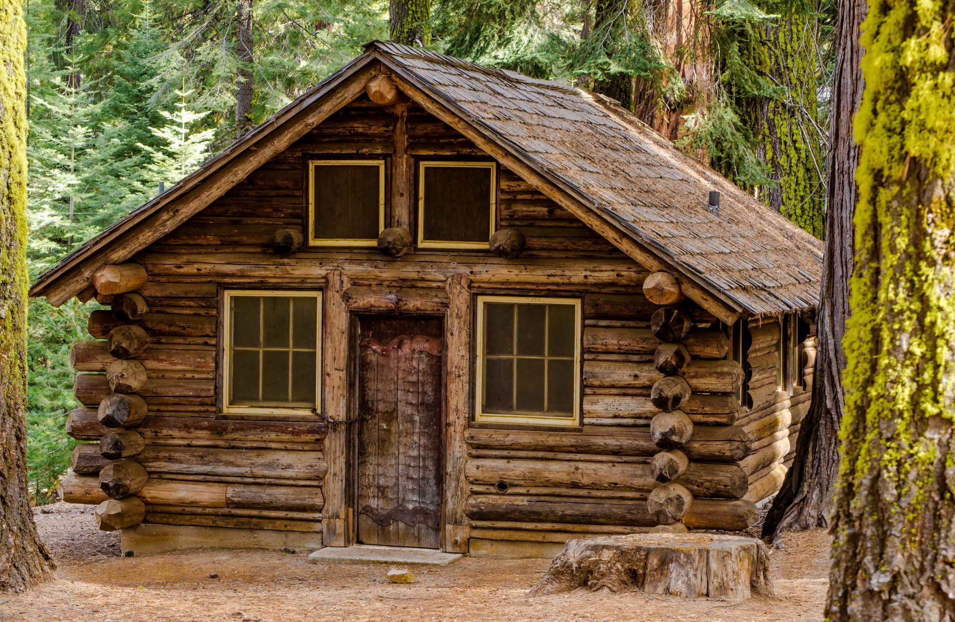 bosque casa madera cabaña tocón árboles