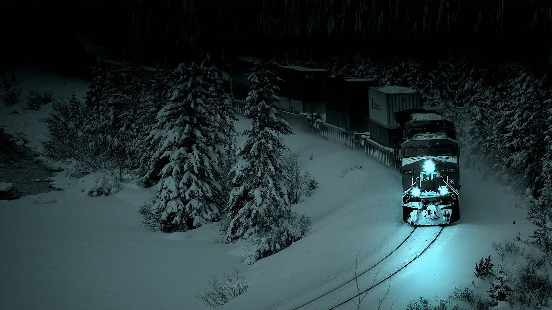 wald fichte zug schienen lokomotive nacht schnee dunkelheit