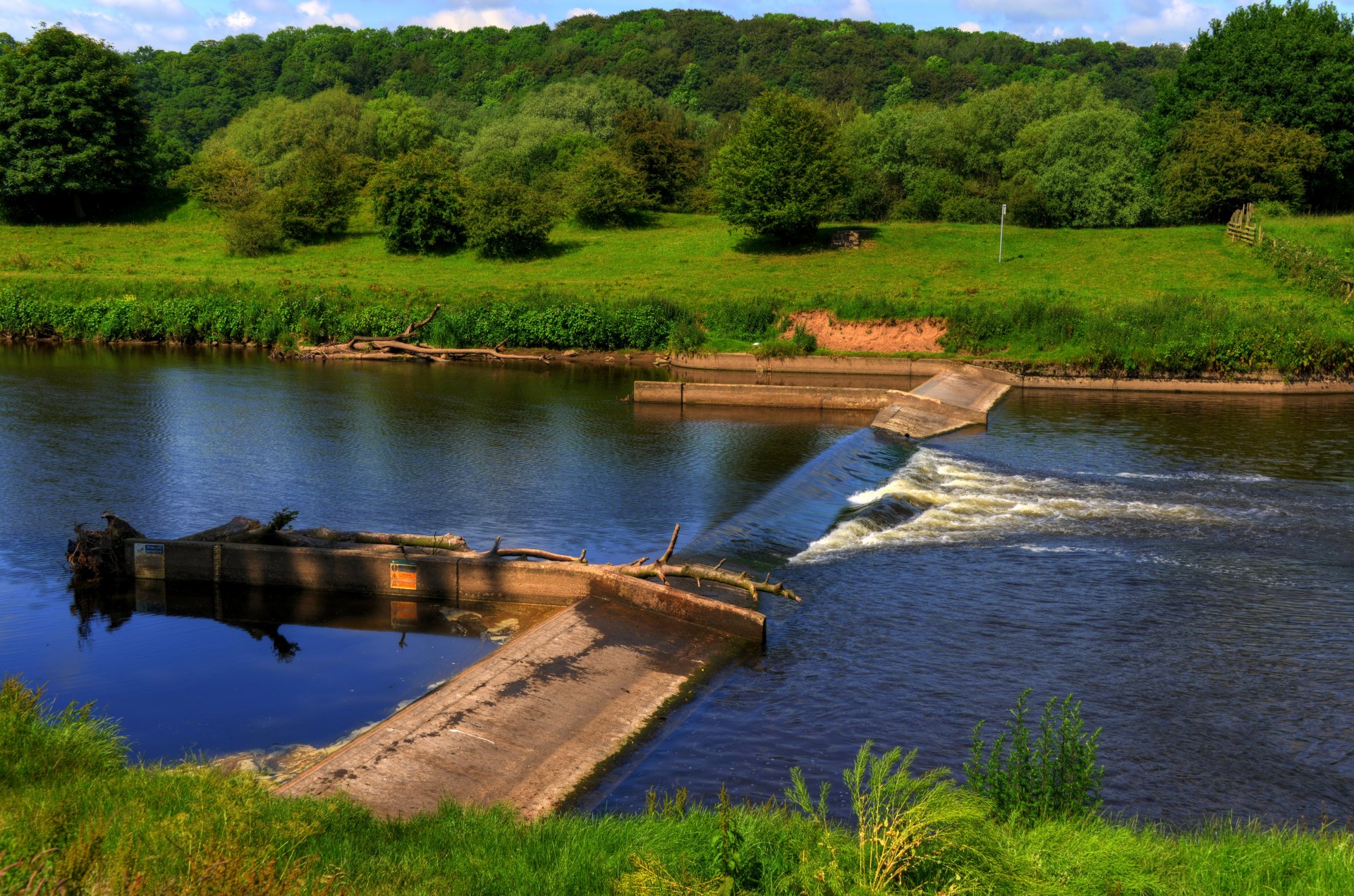 angleterre ribbleton preston rivière barrage bois flotté rive herbe arbres