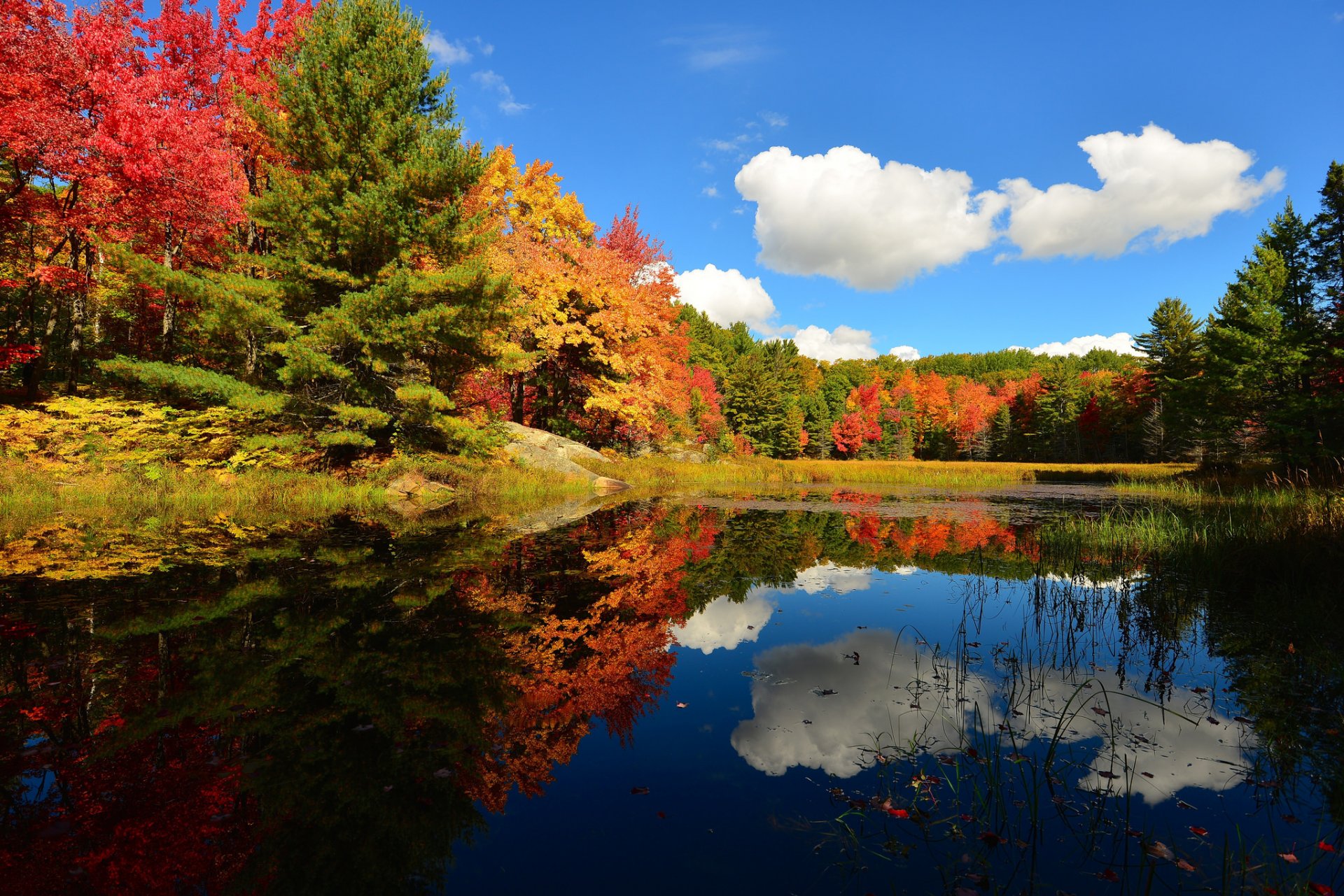 cielo nubes bosque estanque árboles otoño