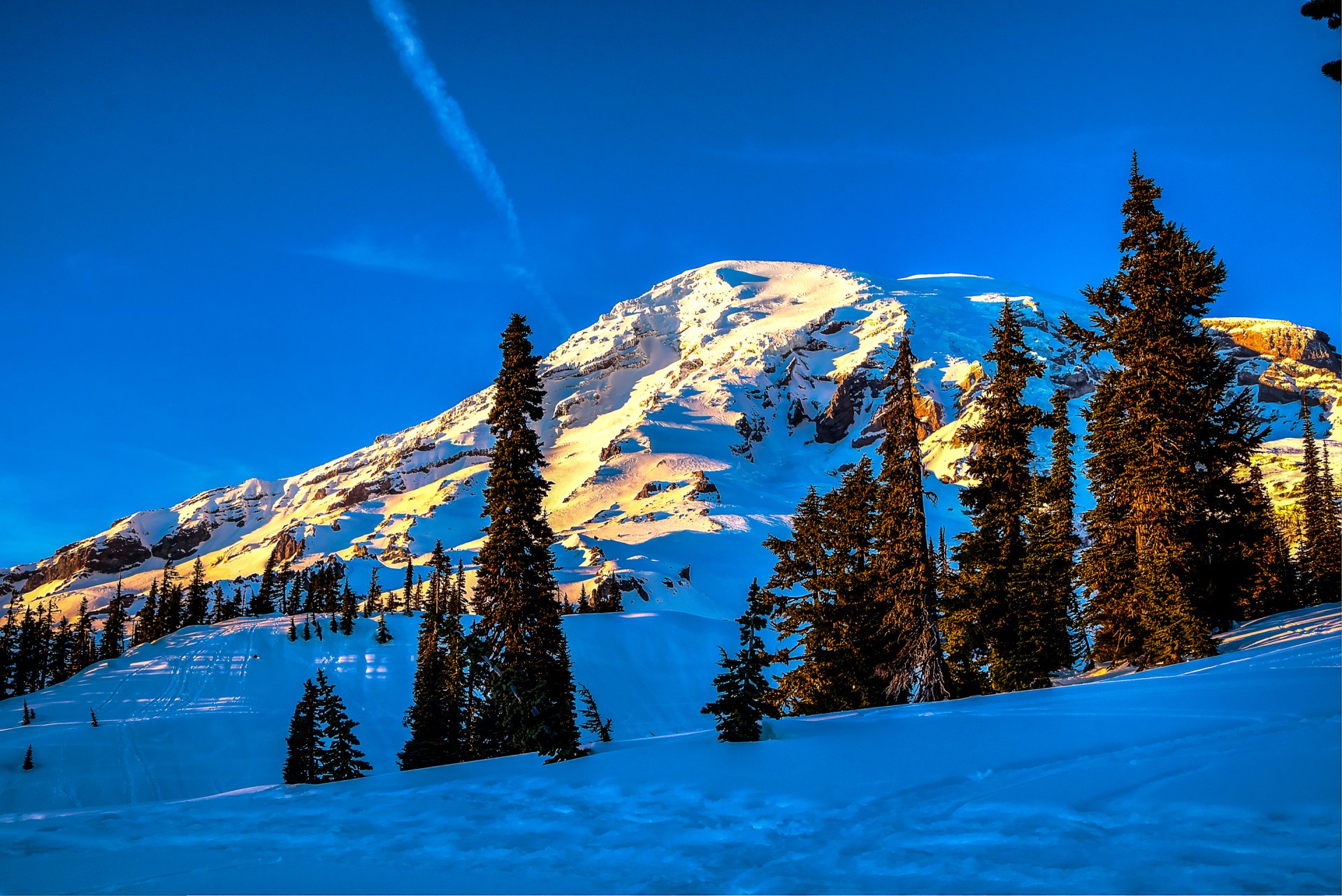 ky mountain tree winter snow spruce slope