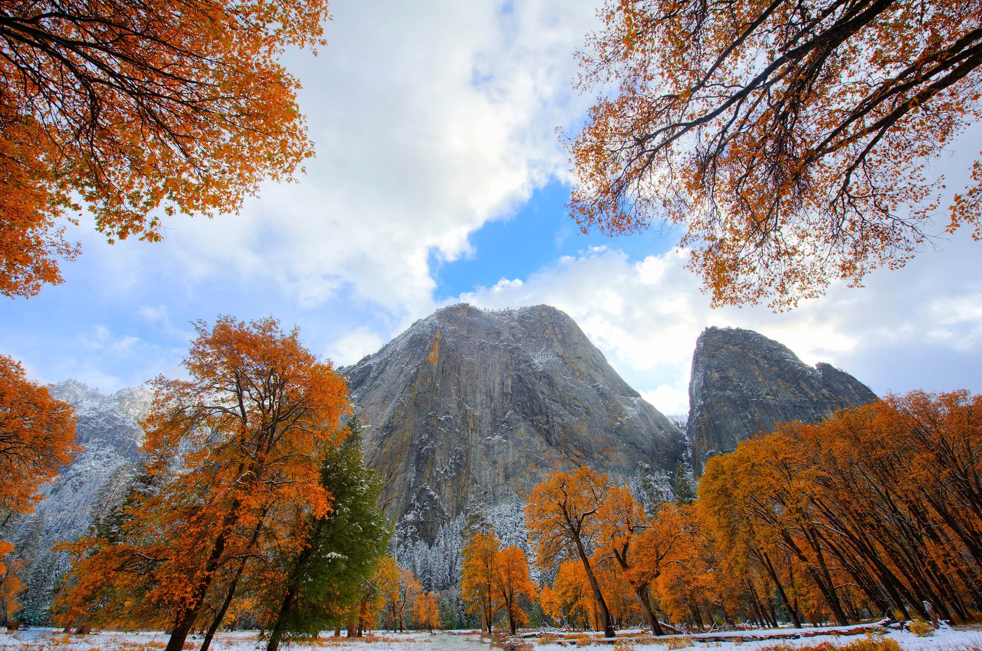 california united states mountain sky clouds autumn tree snow leave