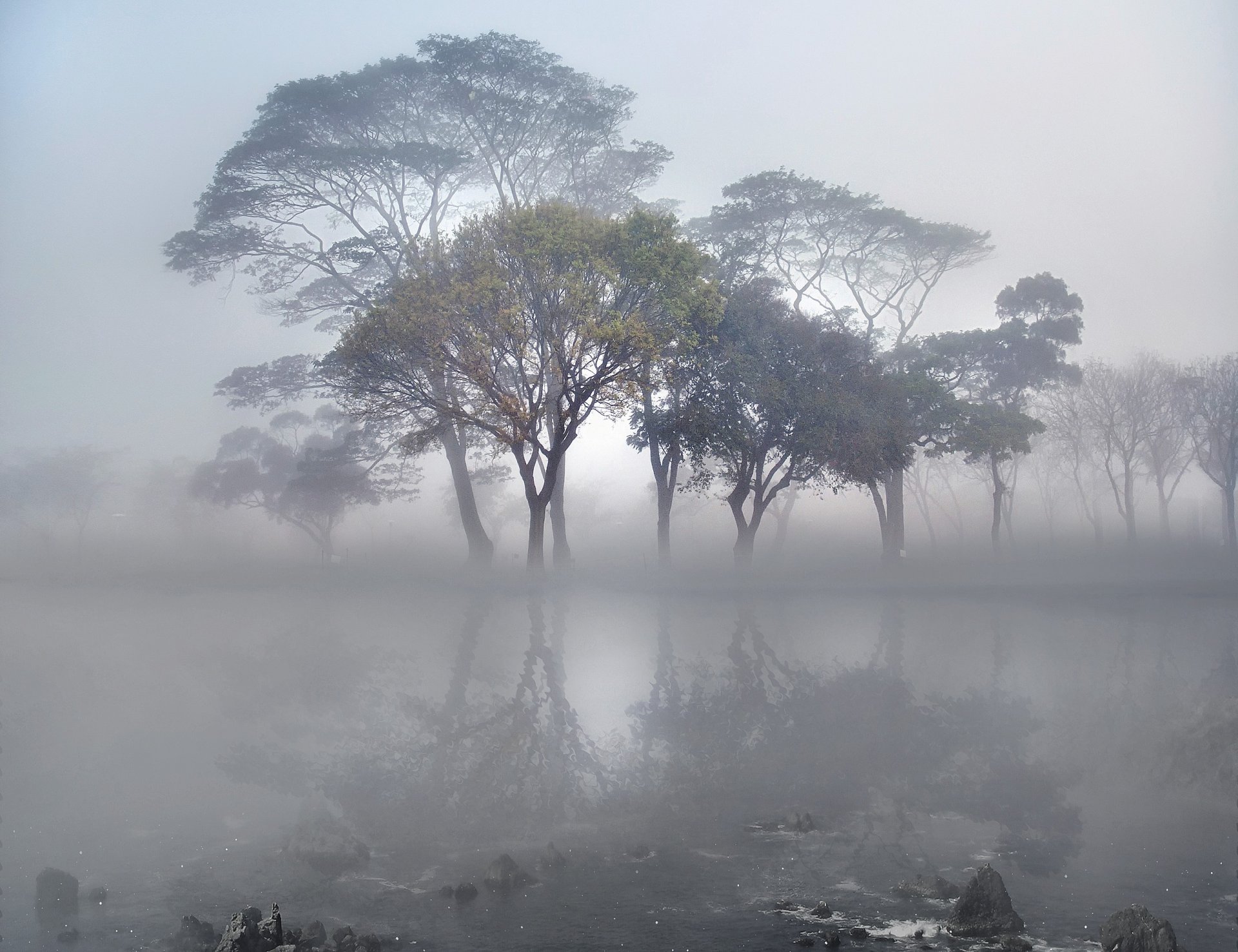 lago superficie liscia rocce alberi nebbia