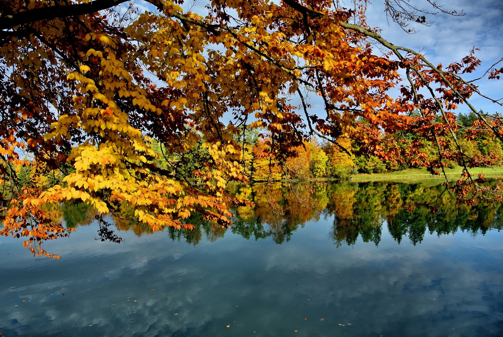 himmel see bäume zweig blätter herbst