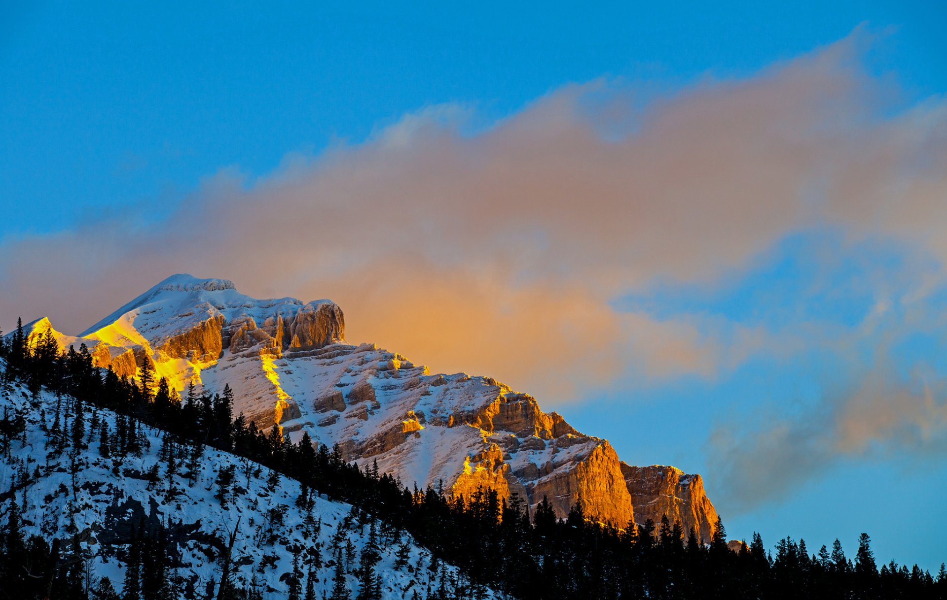 cielo montagna roccia pendio alberi inverno neve tramonto