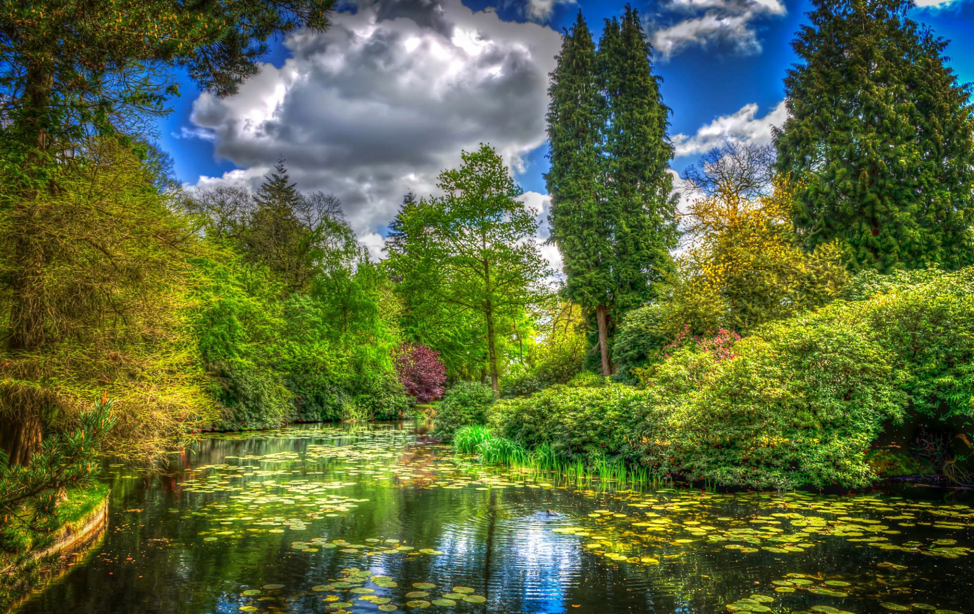 inghilterra tatton park parco stagno verde erba cespugli alberi nuvole lavorazione