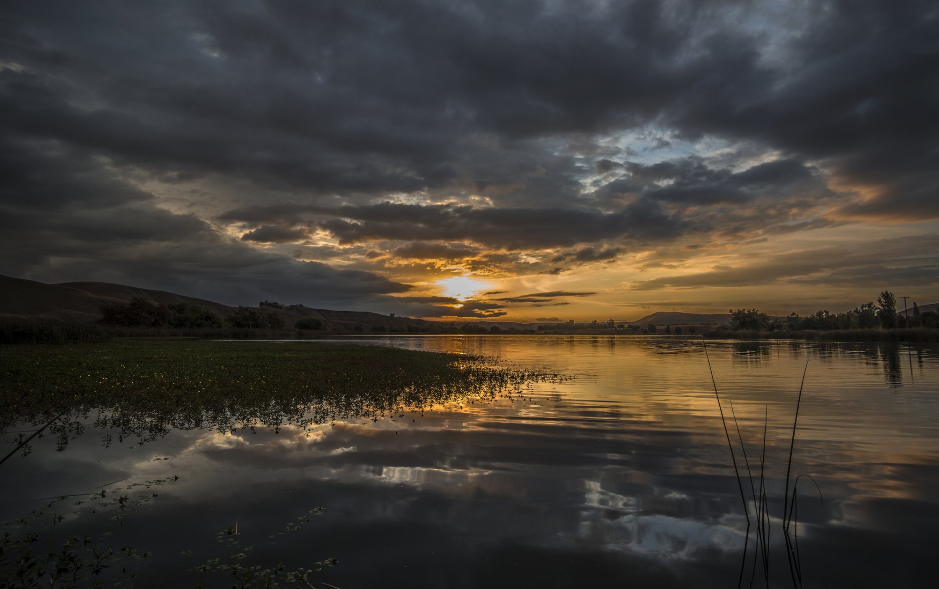 foresta lago natura alba