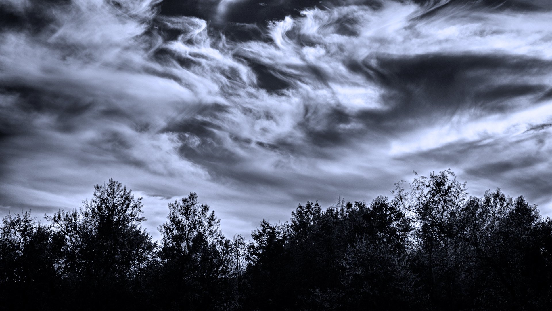 cielo nuvole crepuscolo alberi bizzarro