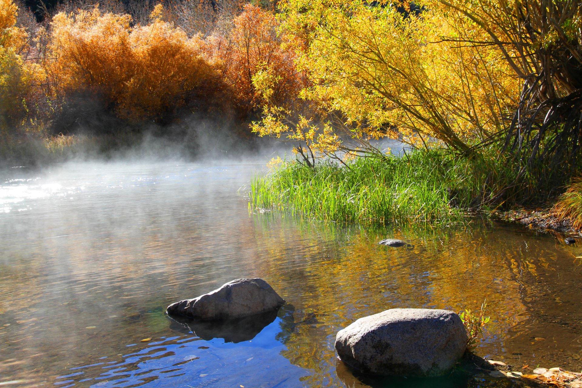 lago mañana niebla árboles arbustos piedras otoño