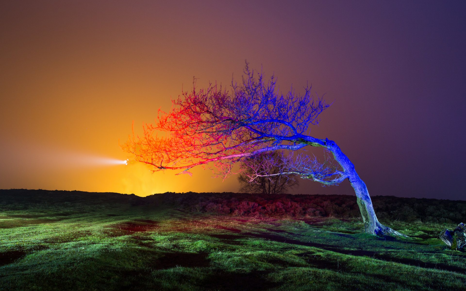 ky night sunset the field tree light