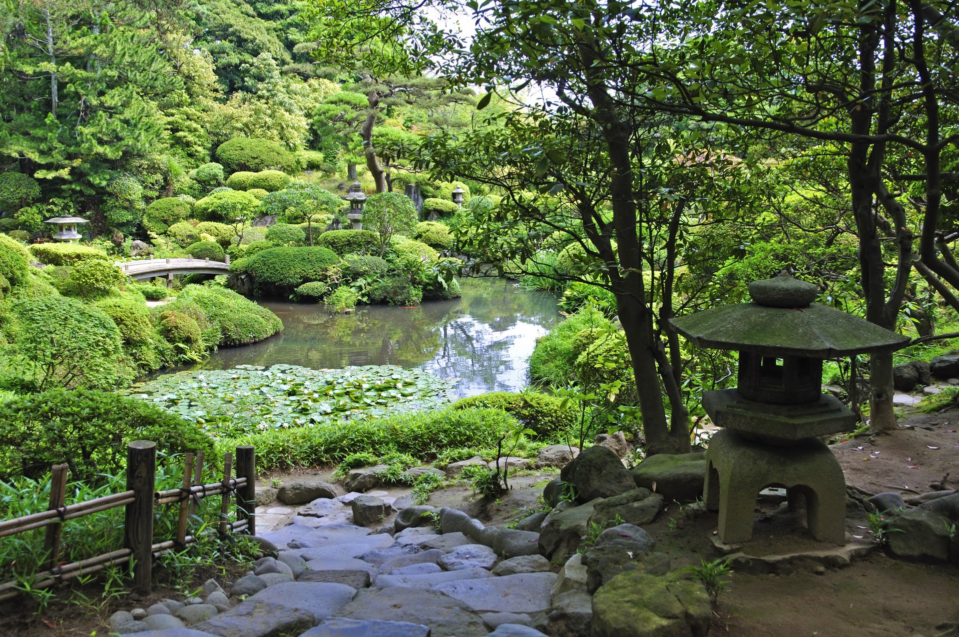 giardino stagno erba cespugli alberi verde sentiero pietre ponte