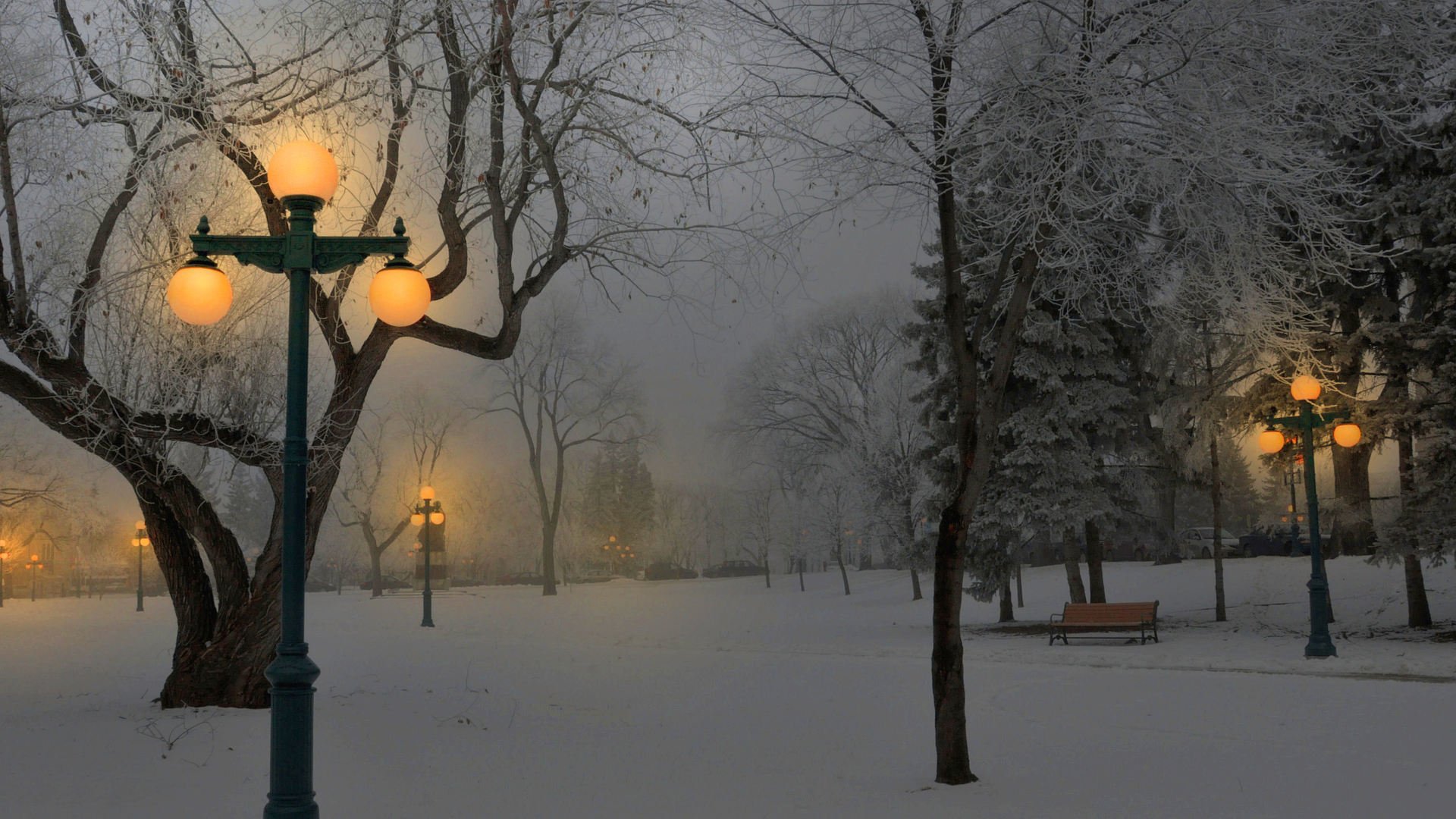 inverno neve parco panchine lanterne luce