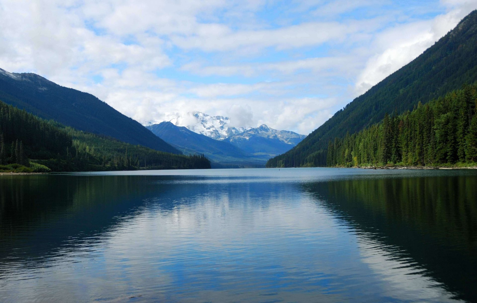 lago di montagna foresta natura