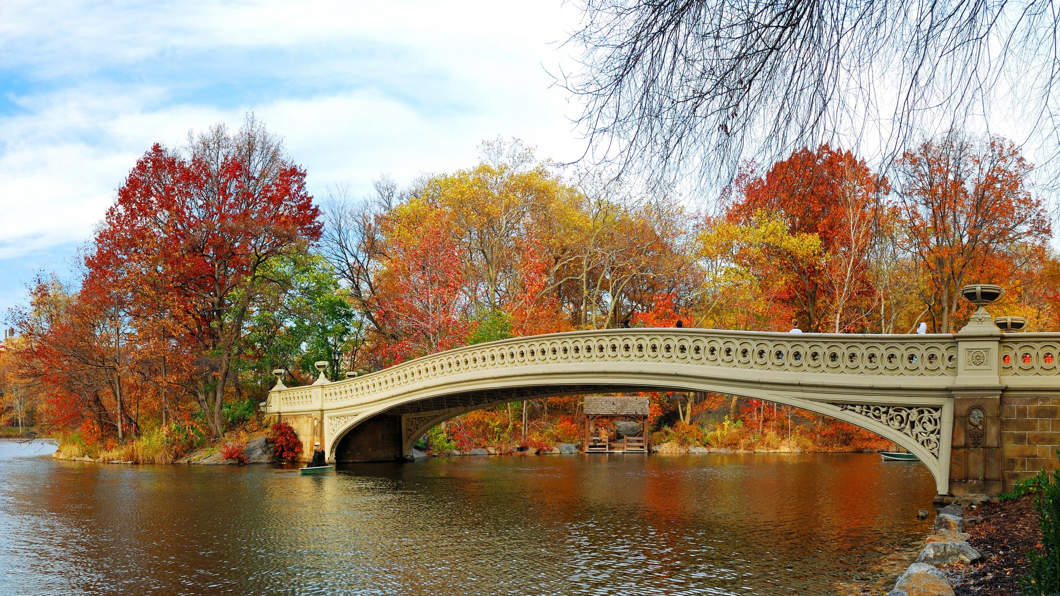 autumn park bridge tree nature landscape leaves trees river