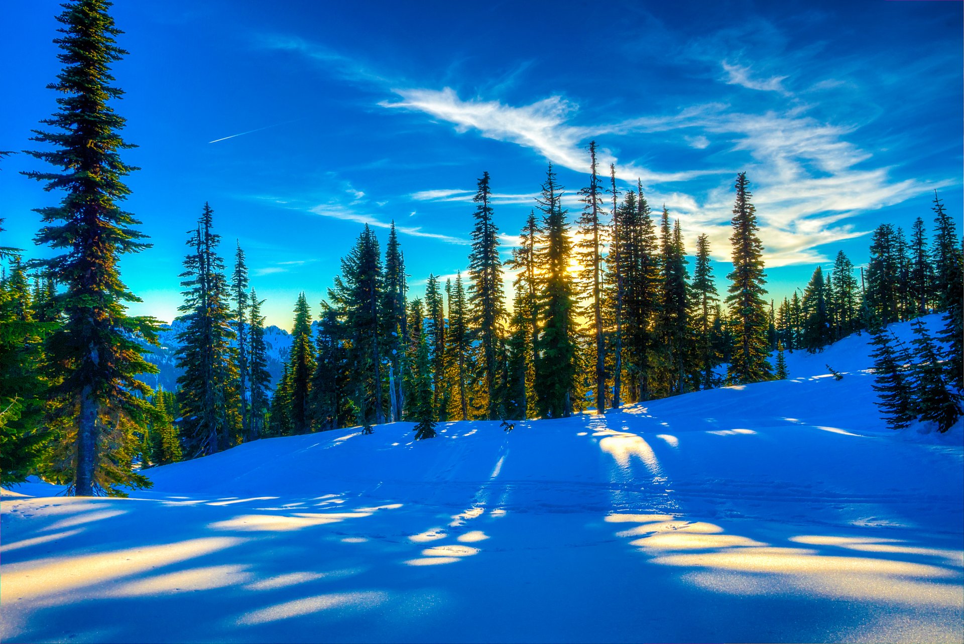 cielo tramonto foresta alberi inverno pendio neve abete rosso paesaggio