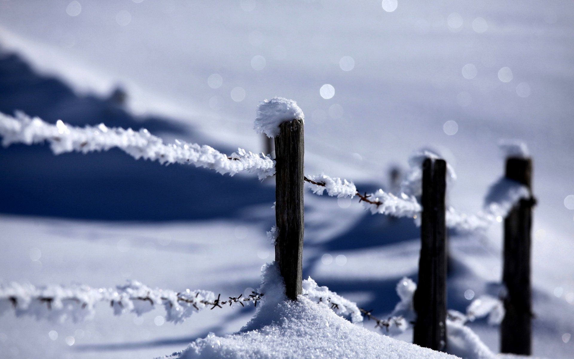 natura zima śnieg płot zima