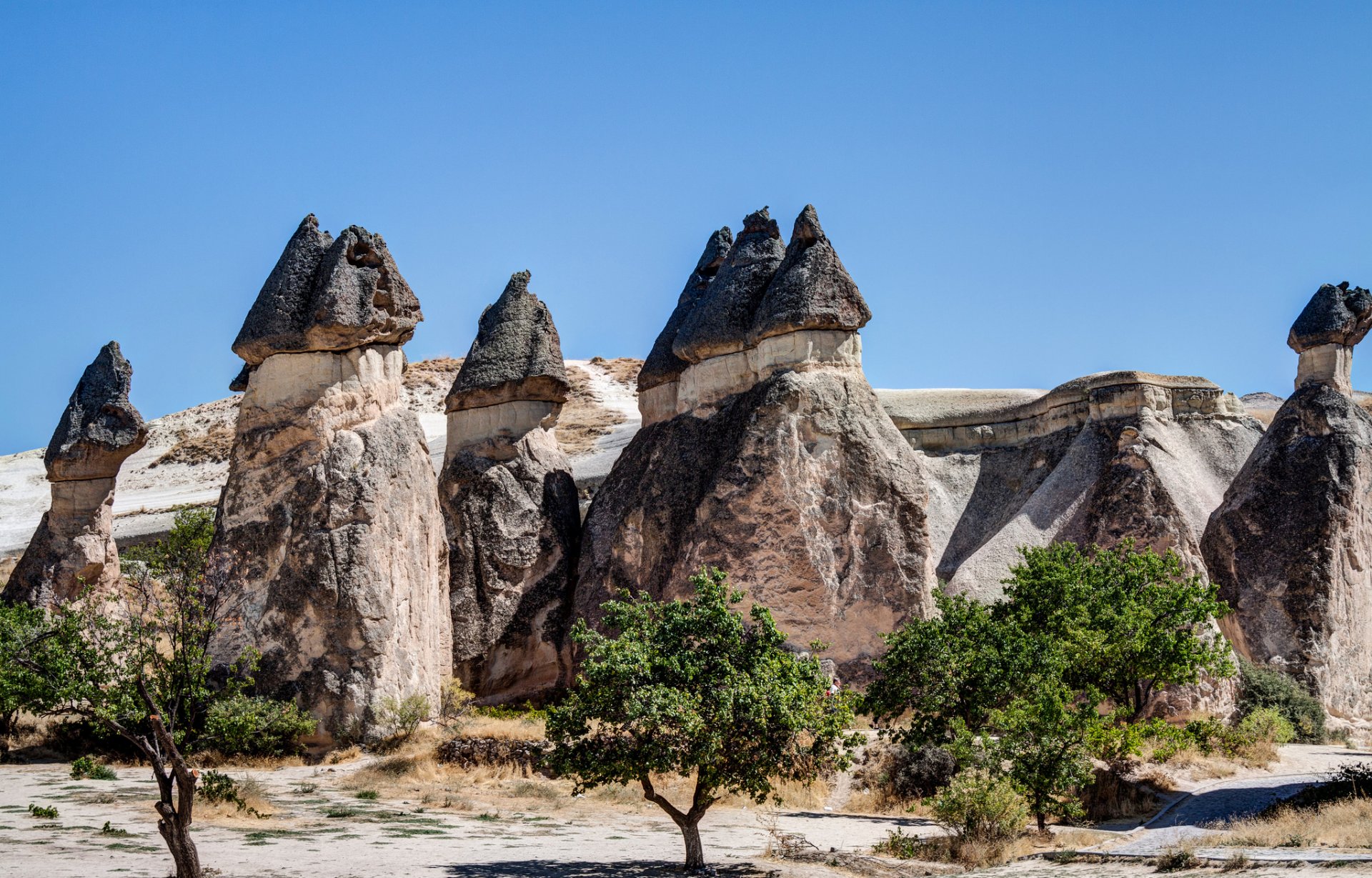 cappadoce turquie ciel rochers arbres paysage