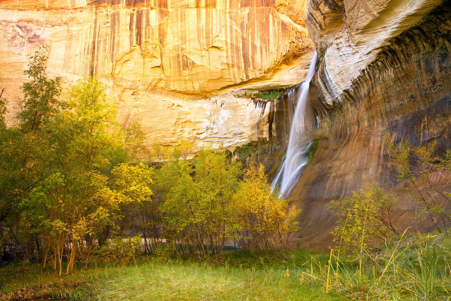 mountain rock feed waterfall tree autumn