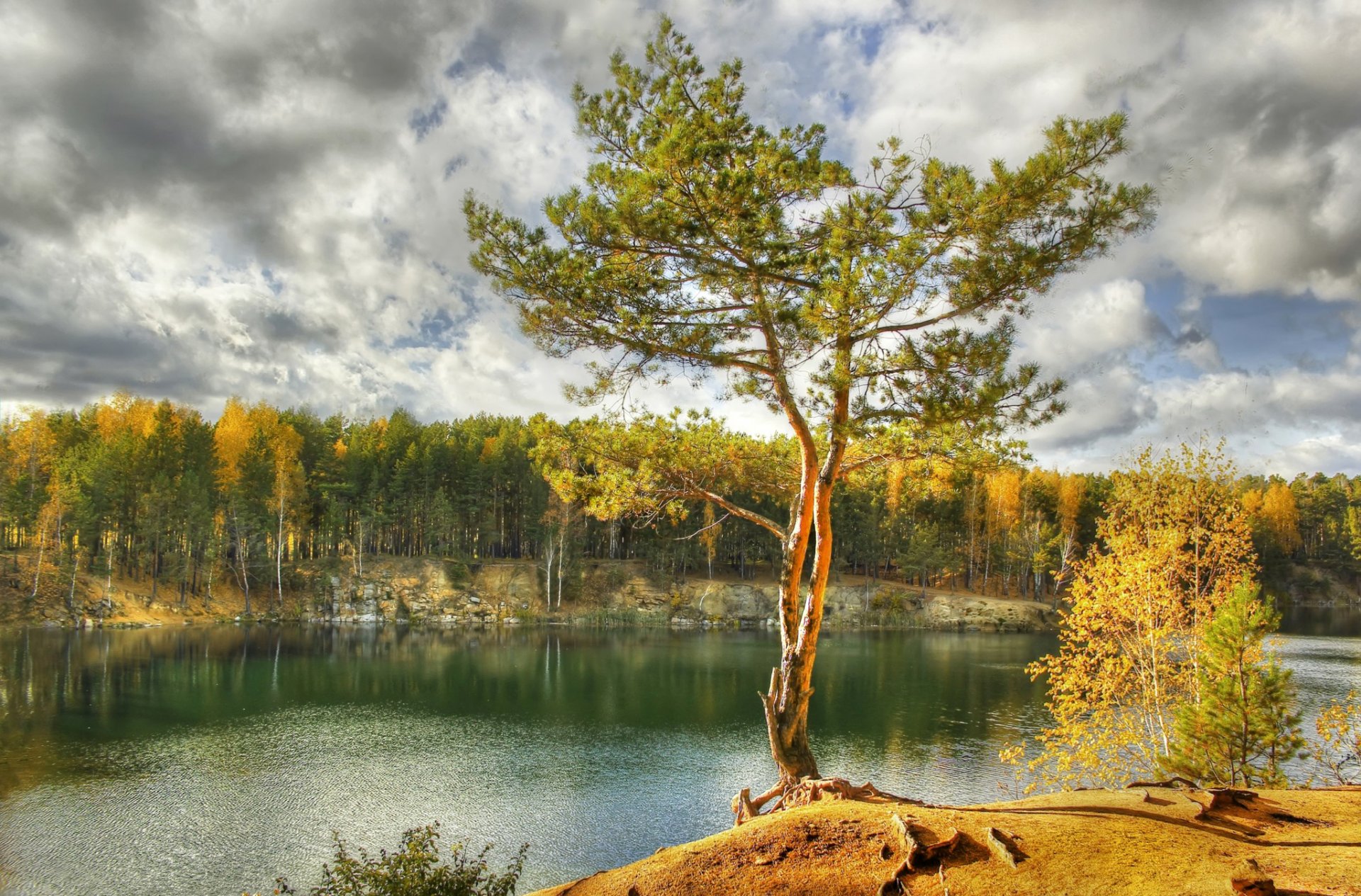 cielo nuvole foresta alberi lago autunno