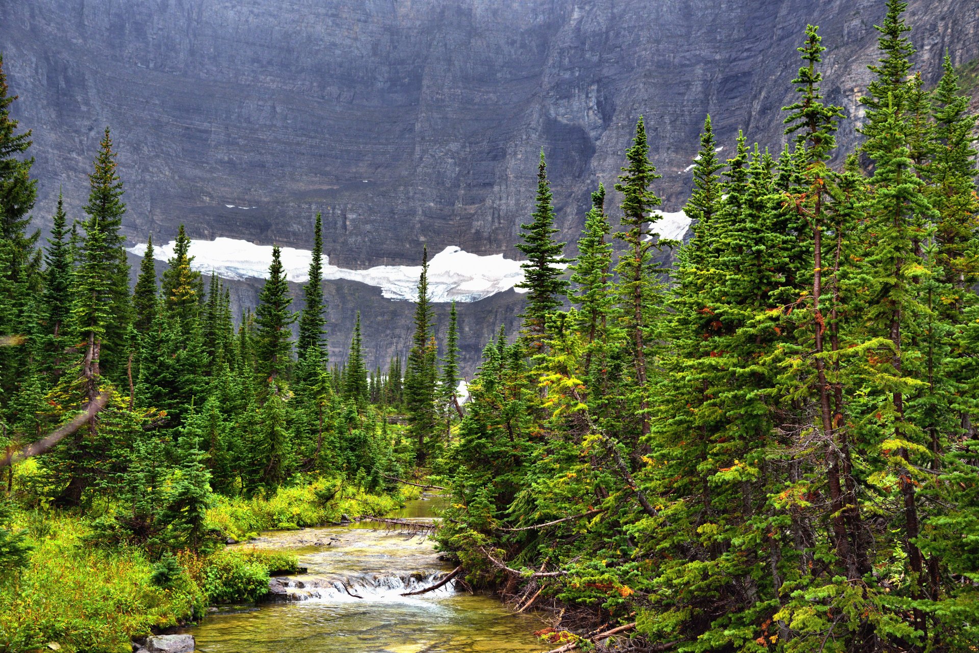 mountain snow river forest spruce