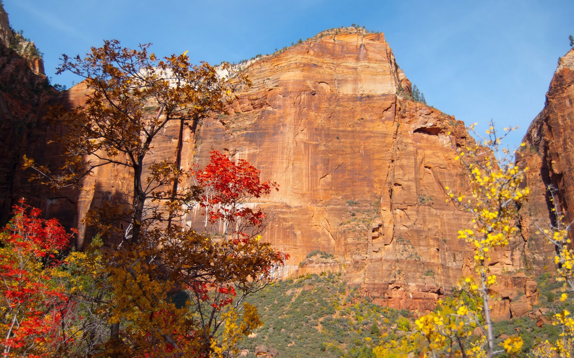 cielo montaña roca árboles hojas otoño