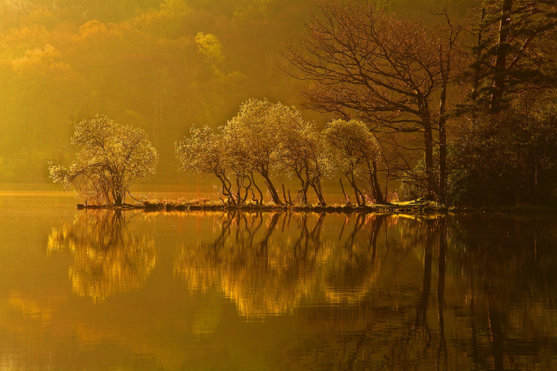 coucher de soleil forêt lac arbres île automne réflexion