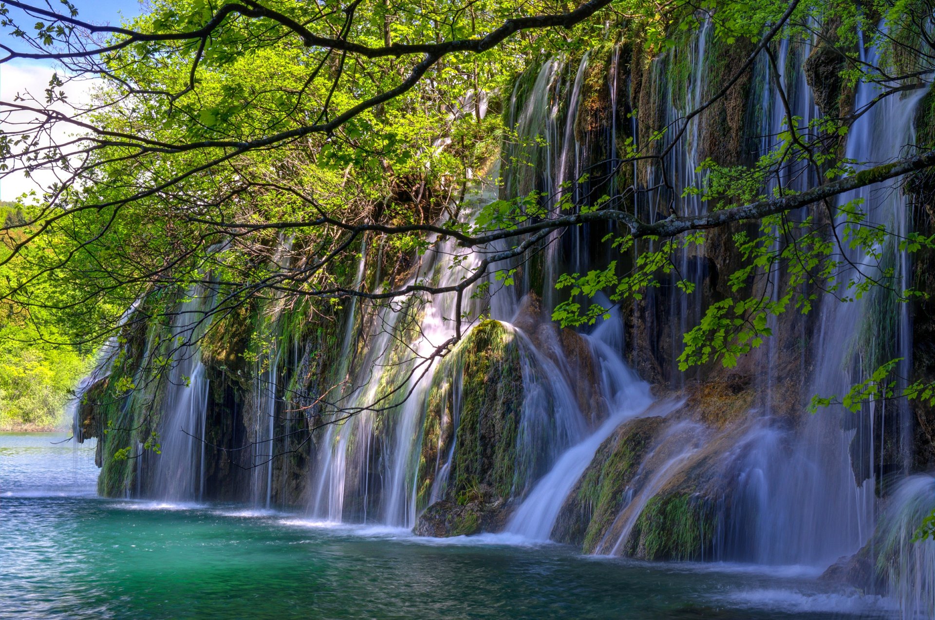 rock feed waterfall tree lake