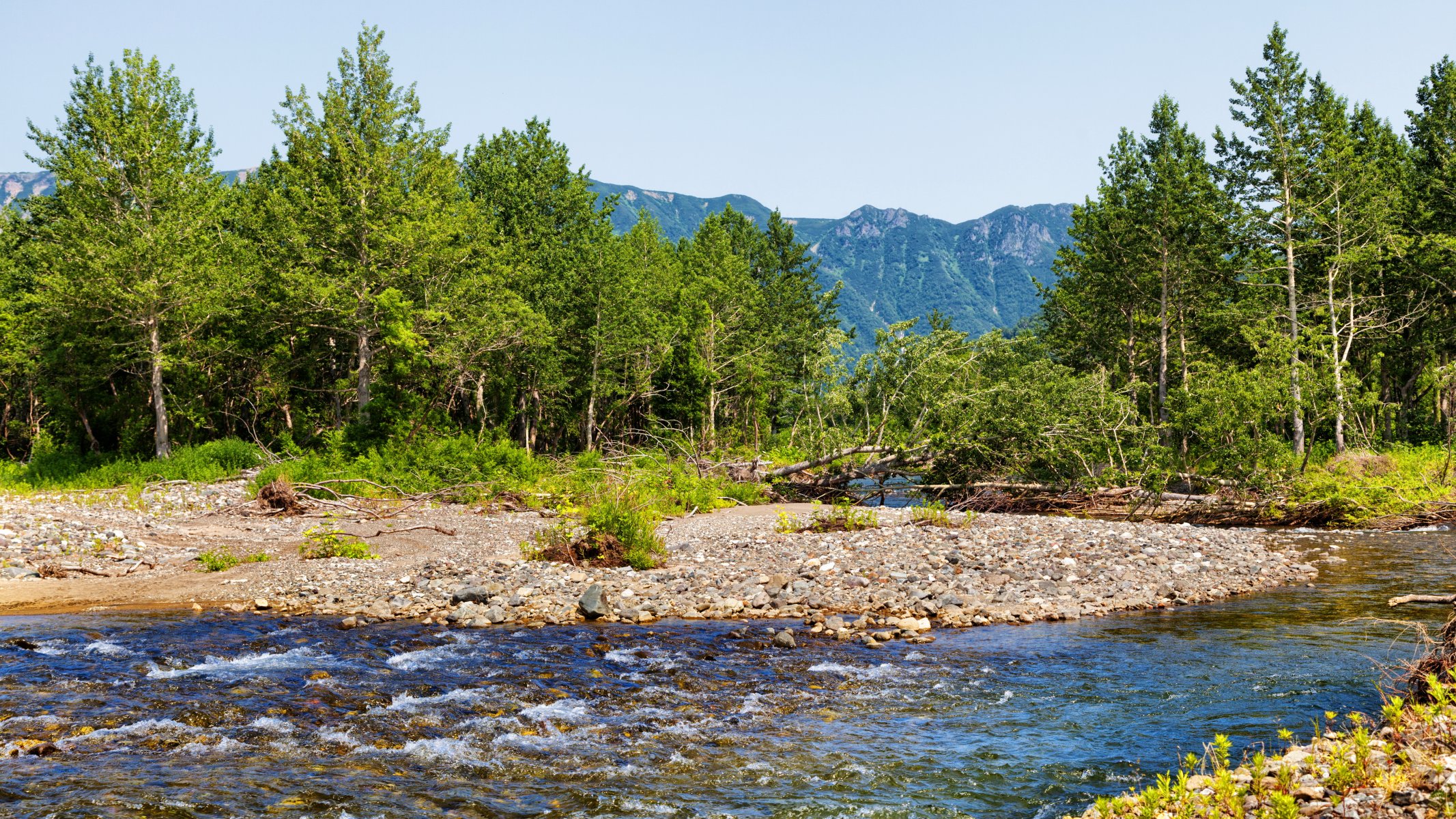 russia kamchatka kamchatka stream stones trees mountain