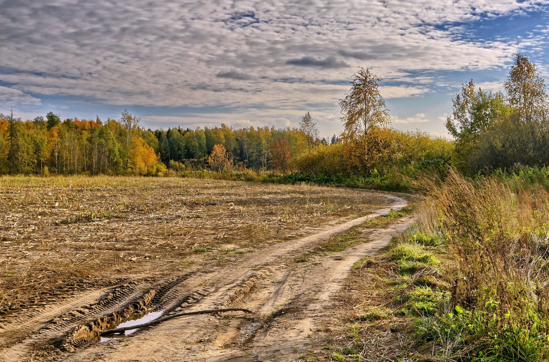 дорога осень пейзаж поле