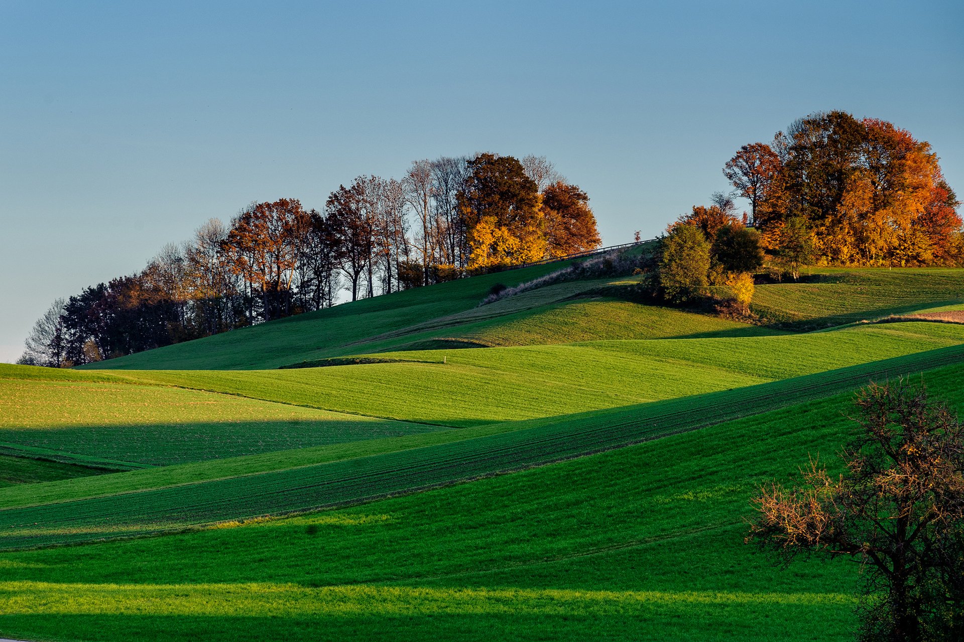 ciel coucher de soleil collines herbe champ arbres ombre