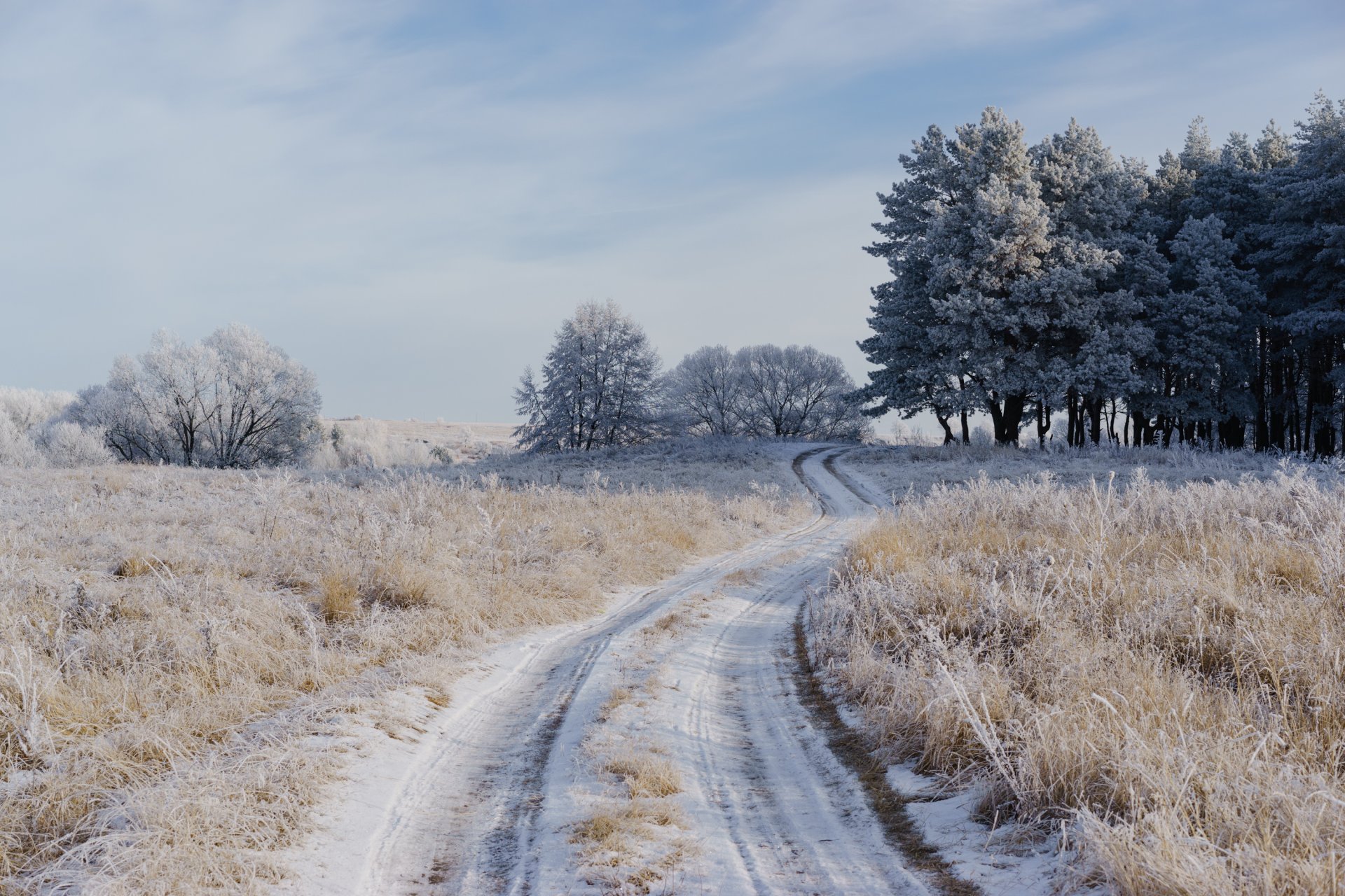 camino campo escarcha invierno