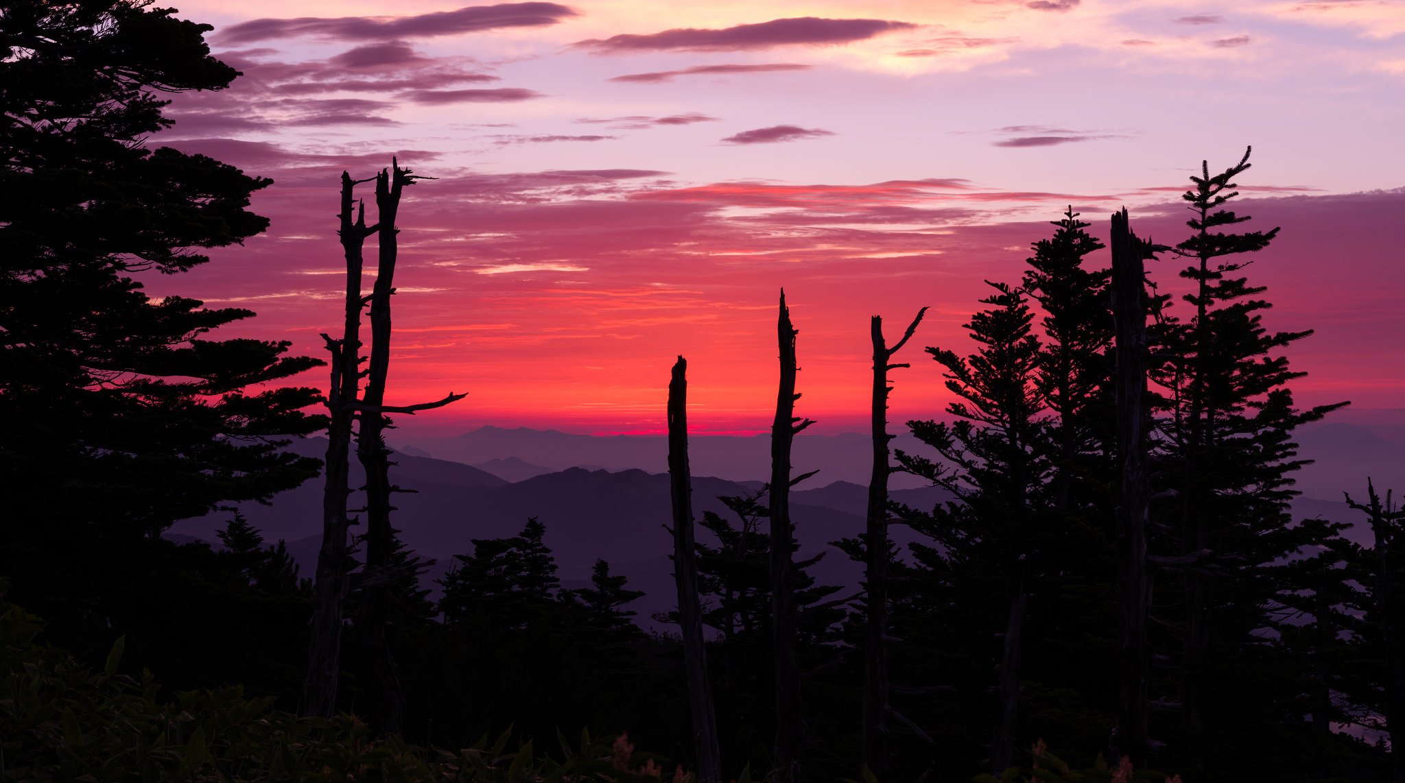 ky sunset glow mountain tree silhouette