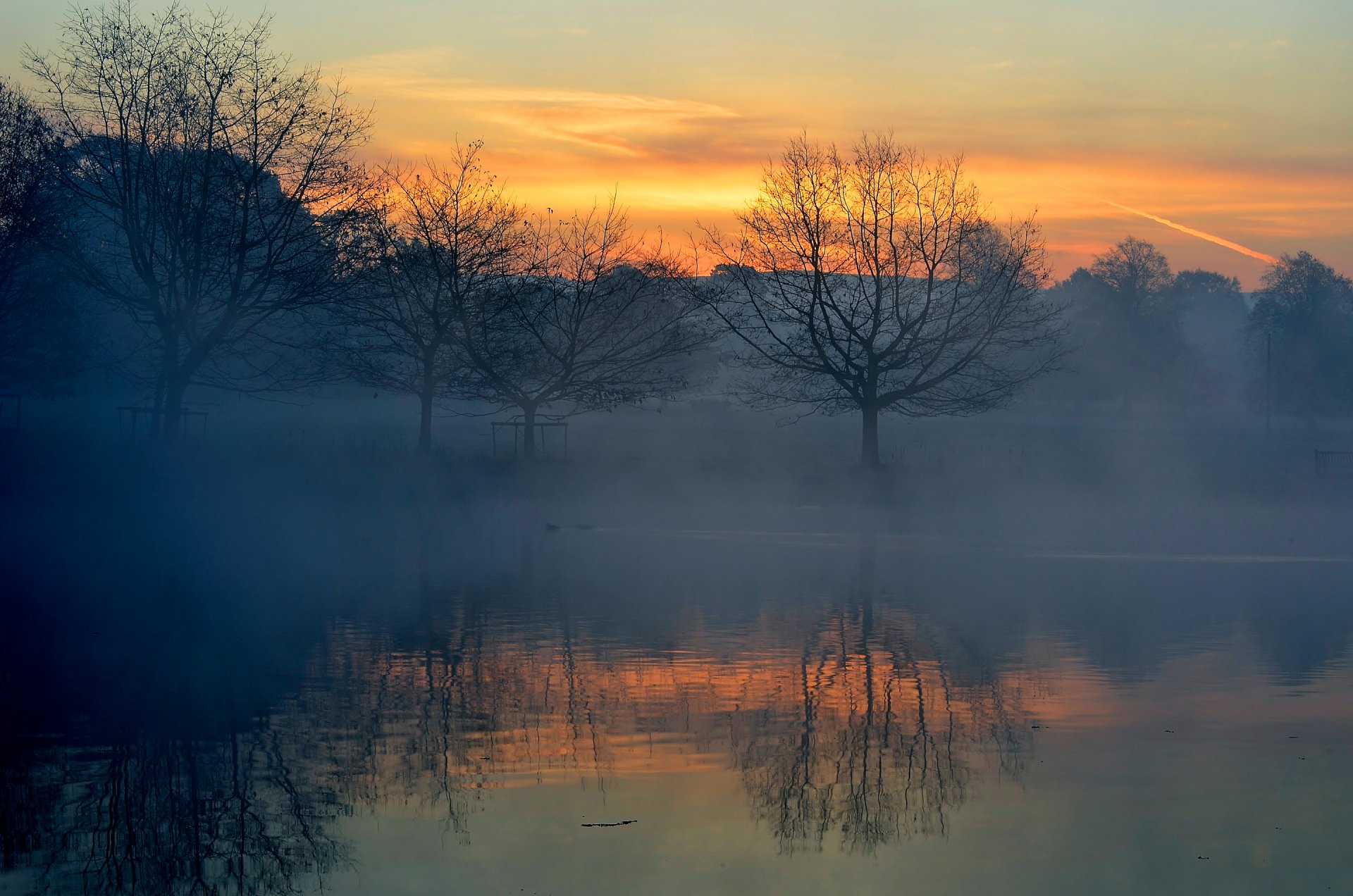 cielo árboles río lago reflexión niebla puesta de sol horizonte nubes