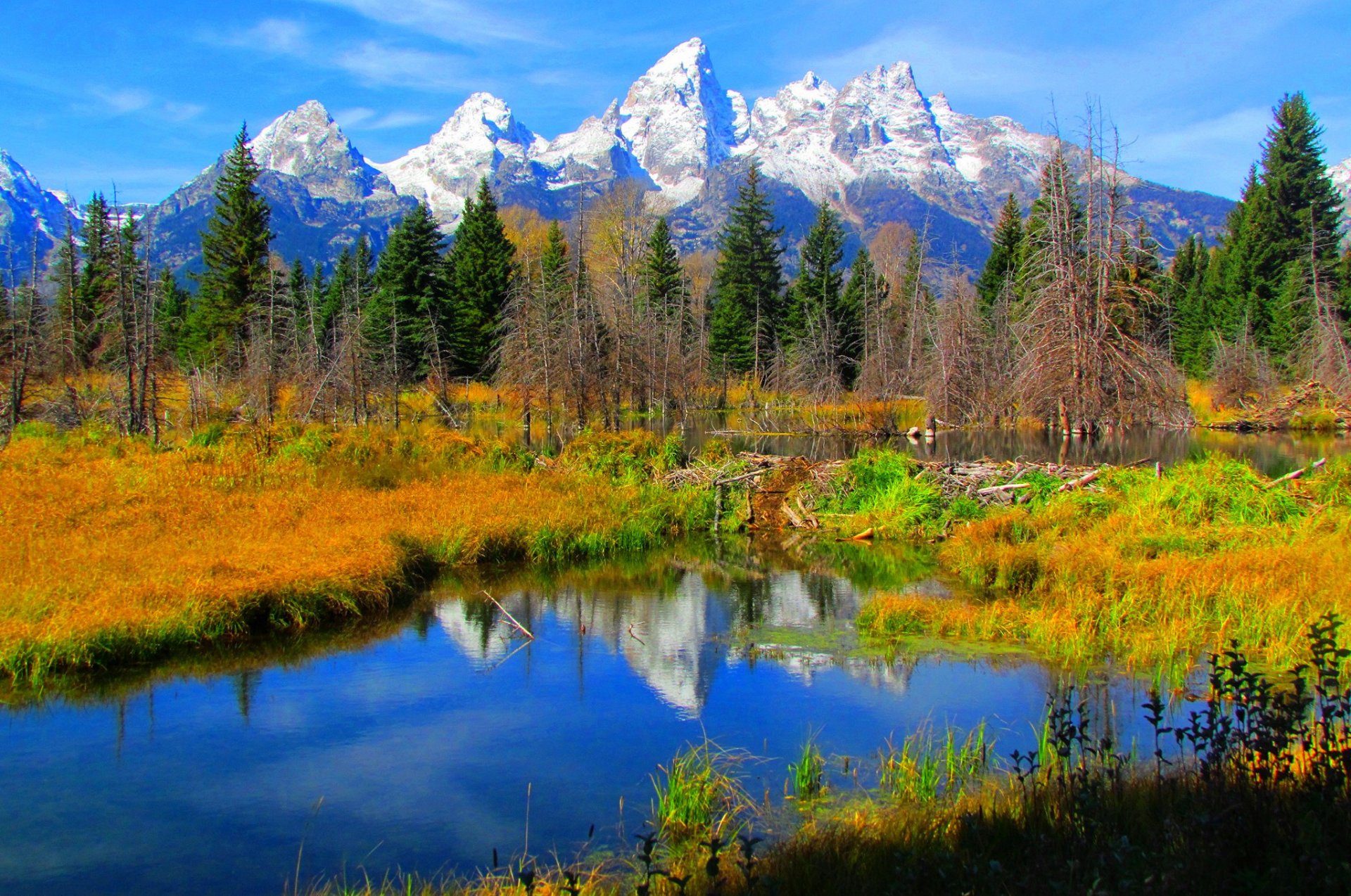 grand teton national park wyoming united states mountain lake reflection tree autumn sky grass snow