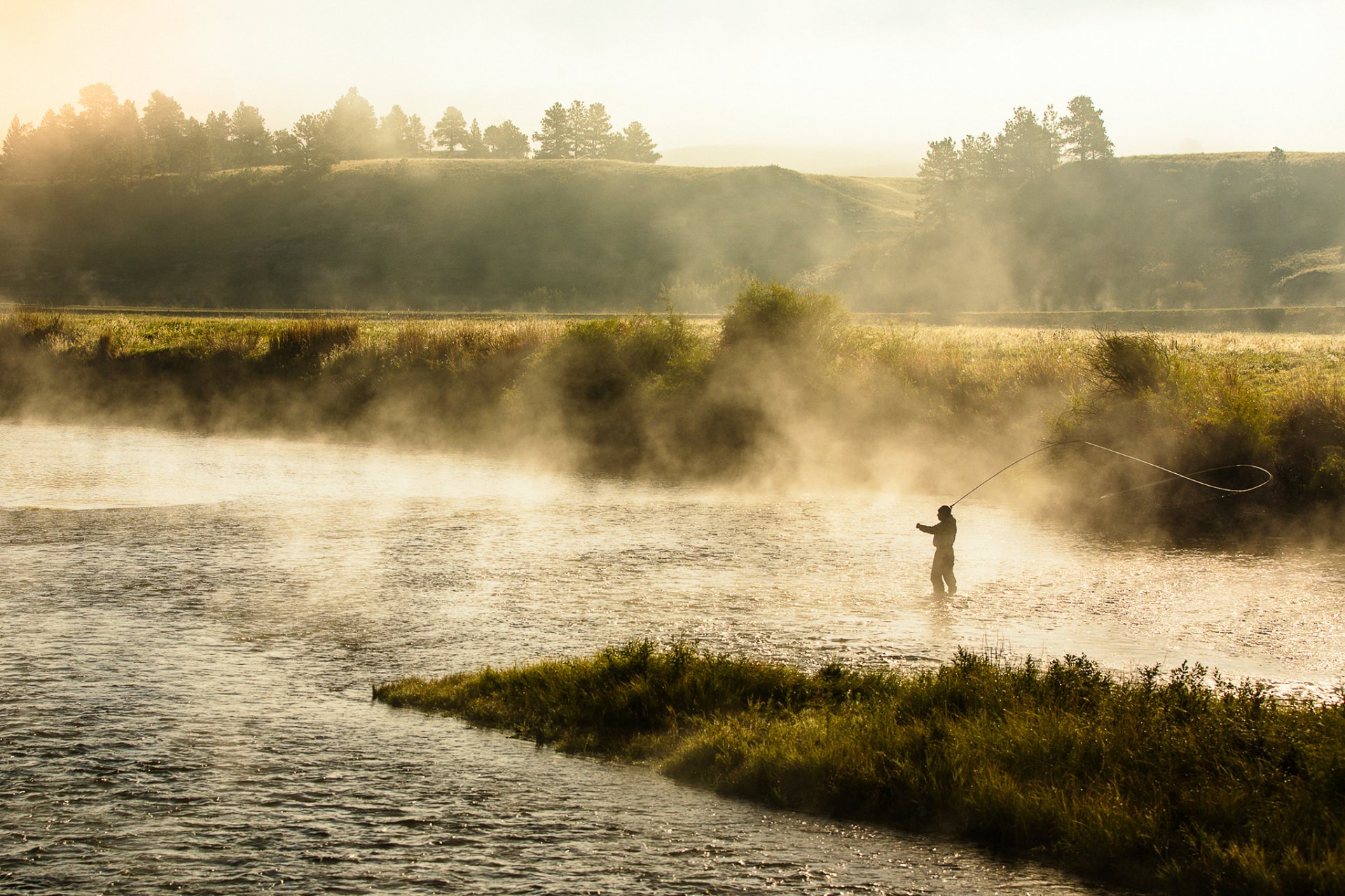 mañana río niebla pesca naturaleza paisaje