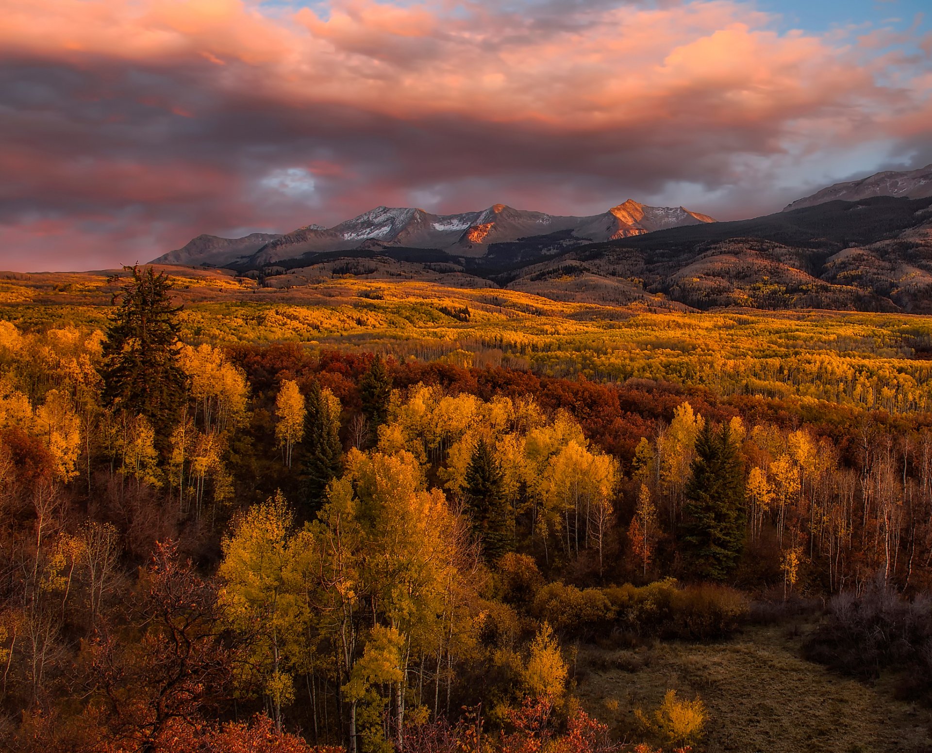 golden glow autumn mountain tree