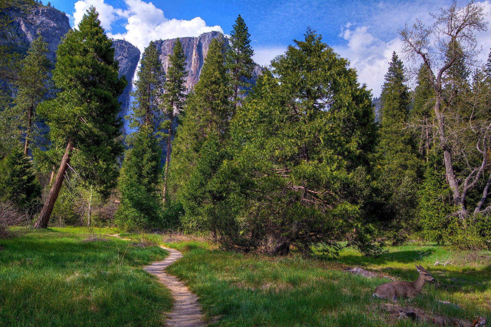 états-unis parc national de yosemite californie montagnes roches cascade forêt arbres sentier clairière herbe verdure