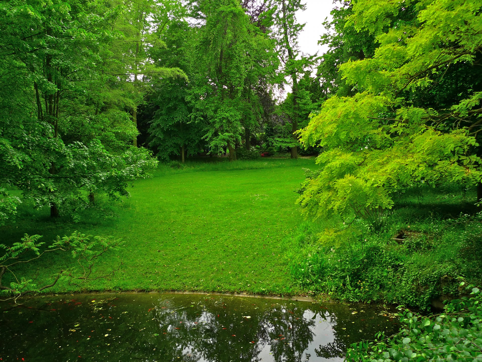 albert-kahn japanese gardens france park pond grass tree lawn green