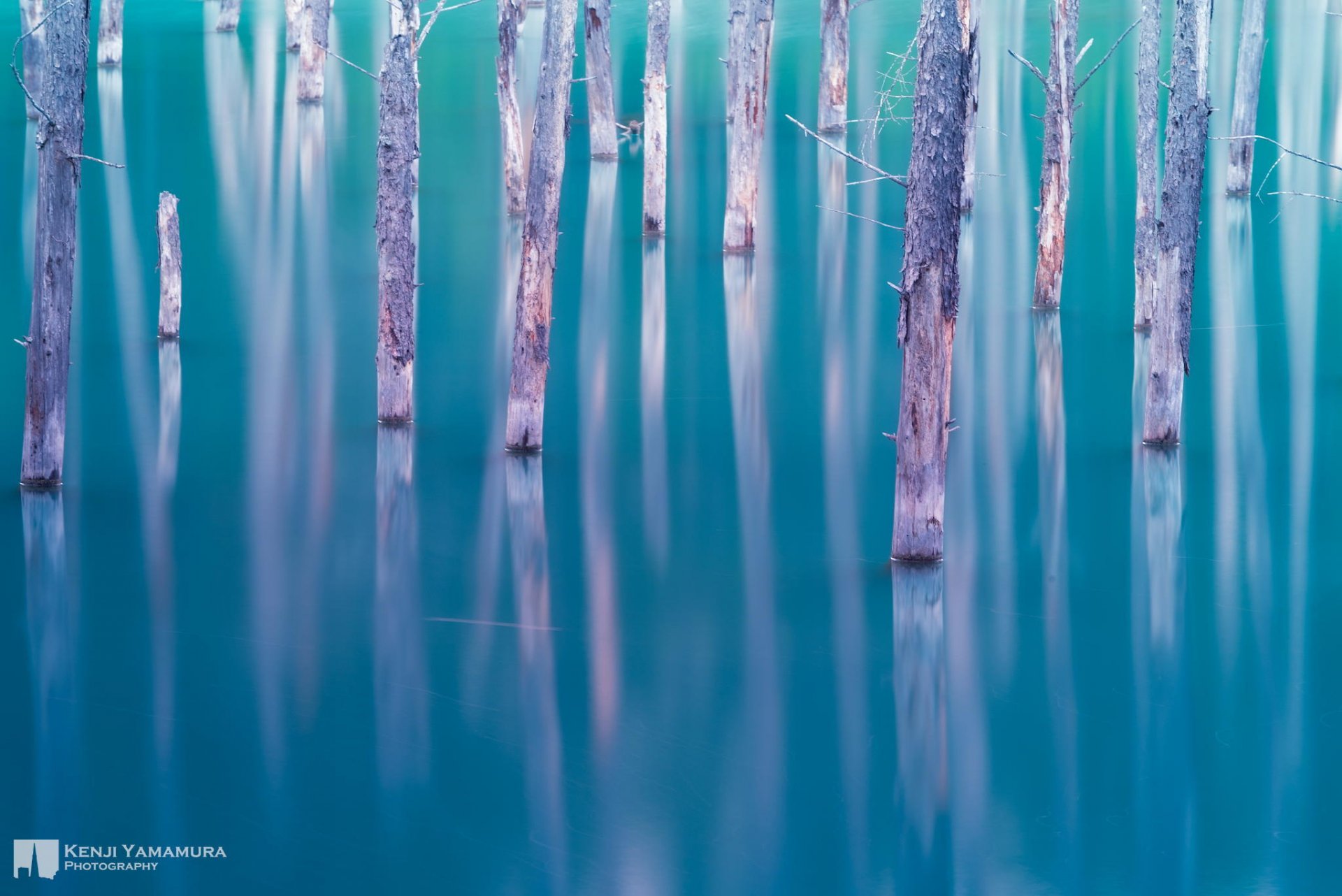 kenji yamamura photographer lake japan tree