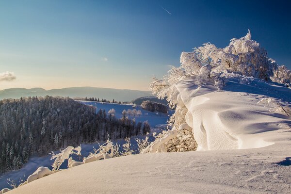 Schneebedeckte Winterberge und Bäume