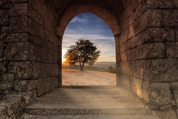 Beautiful exit from the tunnel