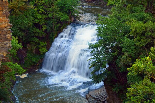 Rinfrescante cascata di montagna nella foresta