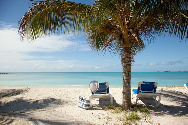 Urlaub im Sommer am Strand und in der Sonne. Der Sand ist warm, Palmen erzeugen Schatten