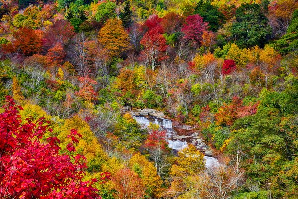 Ein Bergfluss in den Herbstbäumen