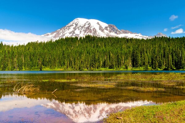 La montaña detrás de los árboles se refleja en el lago