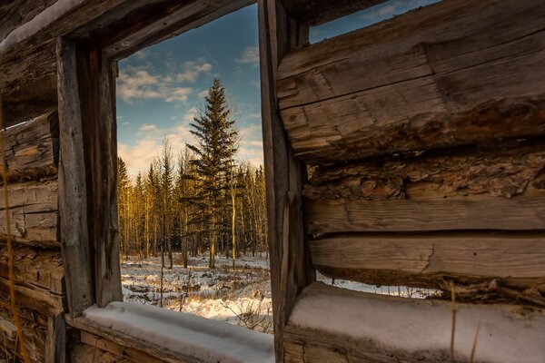 Wooden window with access to the winter forest