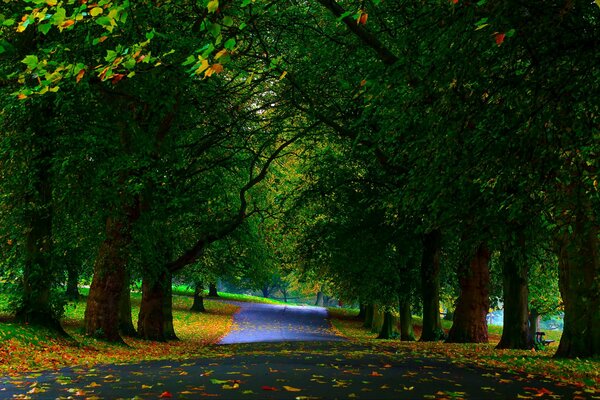 Die Schönheit des Parks kann nur durch einen Blick gesehen werden