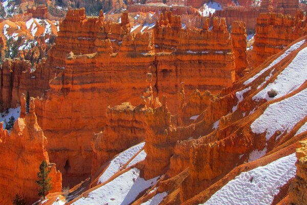 Bryce Canyon in a national park in the USA