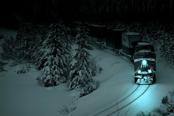 Paysage de nuit. Train dans la forêt